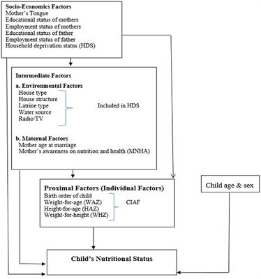 Does Mothers' Awareness of Health and Nutrition Matter? A Case Study of Child Malnutrition in Marginalized Rural Community of Punjab, Pakistan